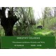 Warsztaty zielarskie - spacer botaniczny Kozielec