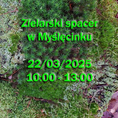 Zielarski spacer w Myślęcinku vol. 3