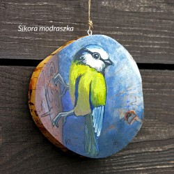 Sikora modraszka - dekor