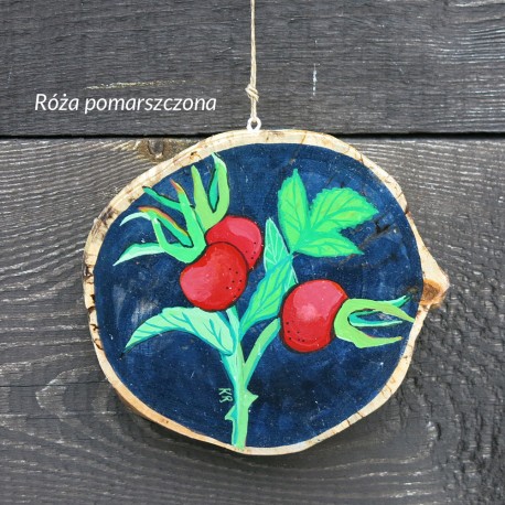 Róża - dekor