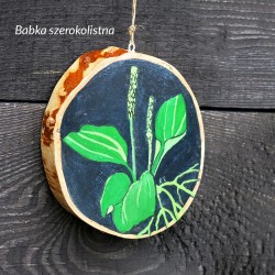 Babka - dekor